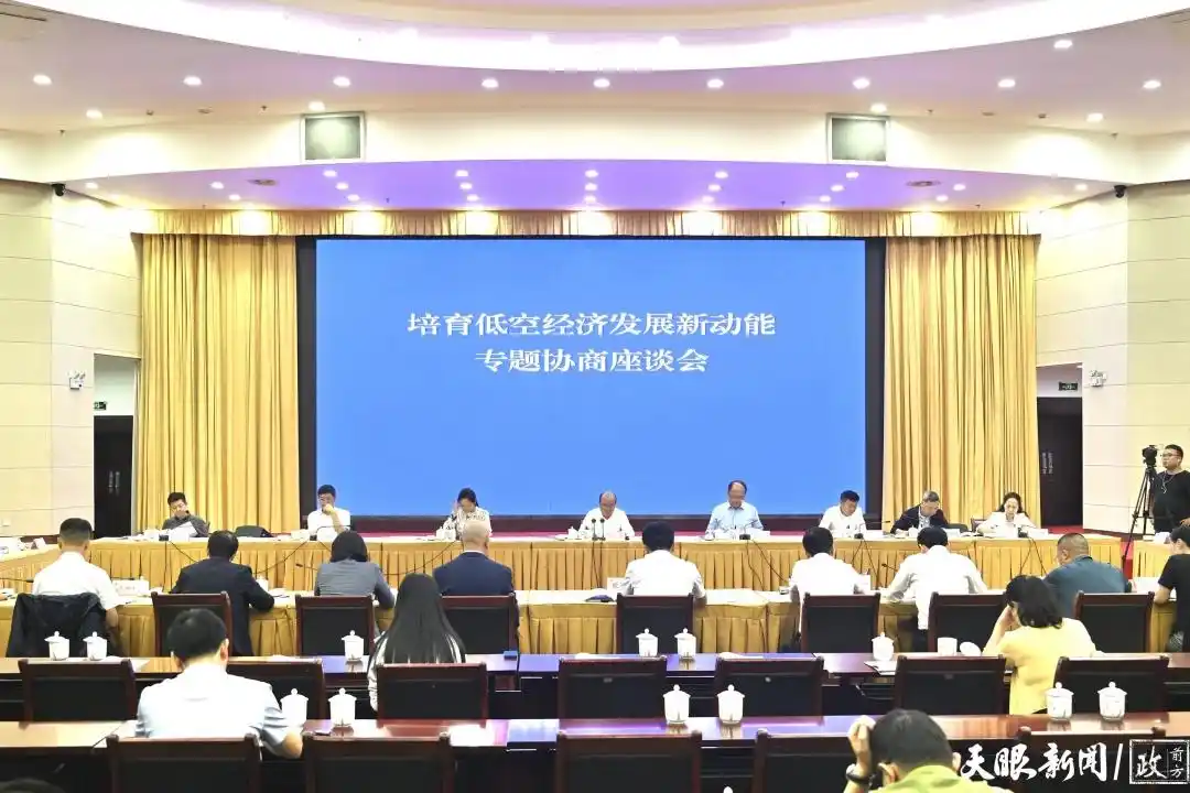 专题协商座谈会