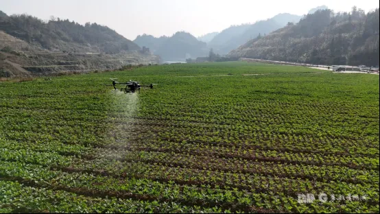 农用无人机植保