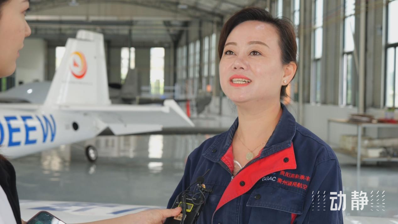 e贵州通用航空有限公司副总经理 汪莉